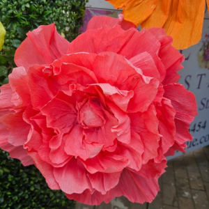 Medium Pink Peonie Paper Flower (50cm)